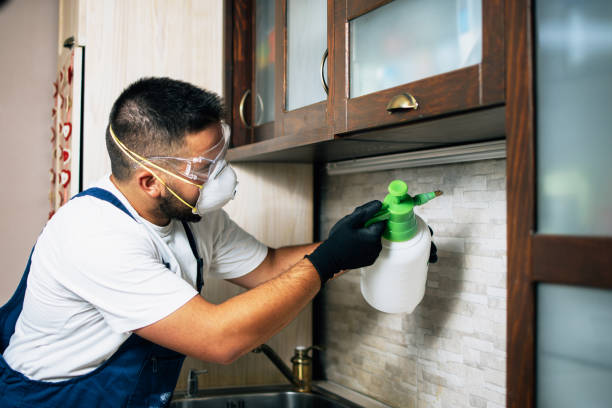 Pest Control for Restaurants in Pine Grove, PA