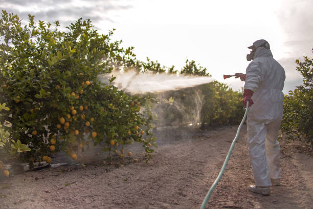 Best Exterminator Services  in Pine Grove, PA