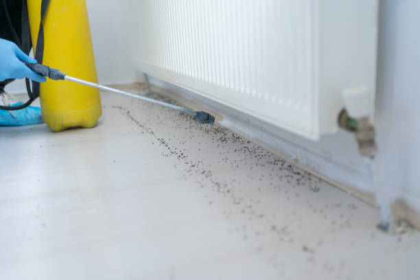 Pine Grove, PA Pest Control Company