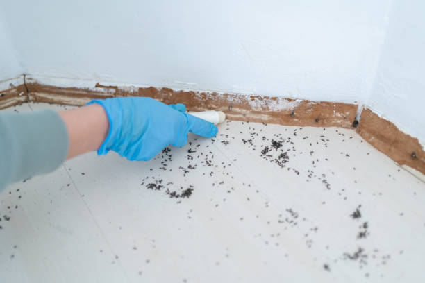 Professional Pest Control in Pine Grove, PA