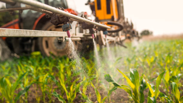 Best Commercial Pest Control Services  in Pine Grove, PA