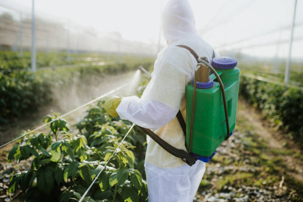 Best Commercial Pest Control Services  in Pine Grove, PA